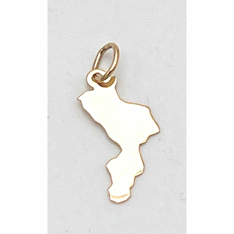 Ciondolo Regione Calabria con catena oro 18 kt.