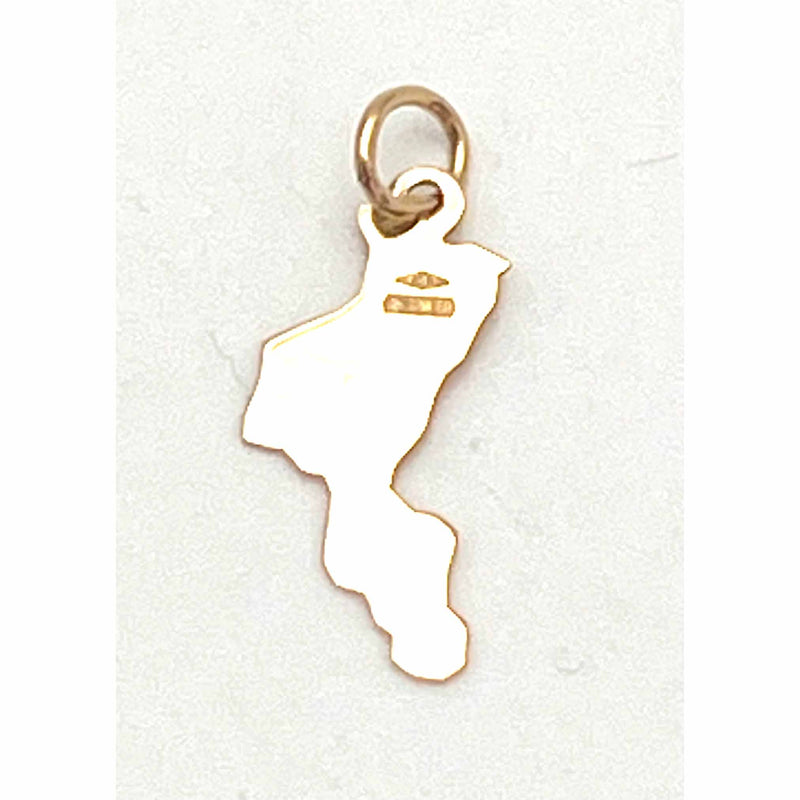 Ciondolo Regione Calabria con catena oro 18 kt.
