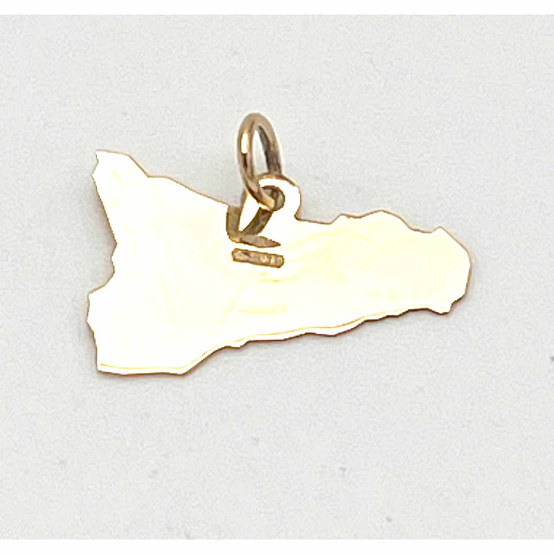 Ciondolo con catena oro 18 kt. (750°°°) Regione Sicilia