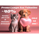 Anello Recarlo Anniversary Love 21 Diamanti 1,60 ct. R67FA001/160-14