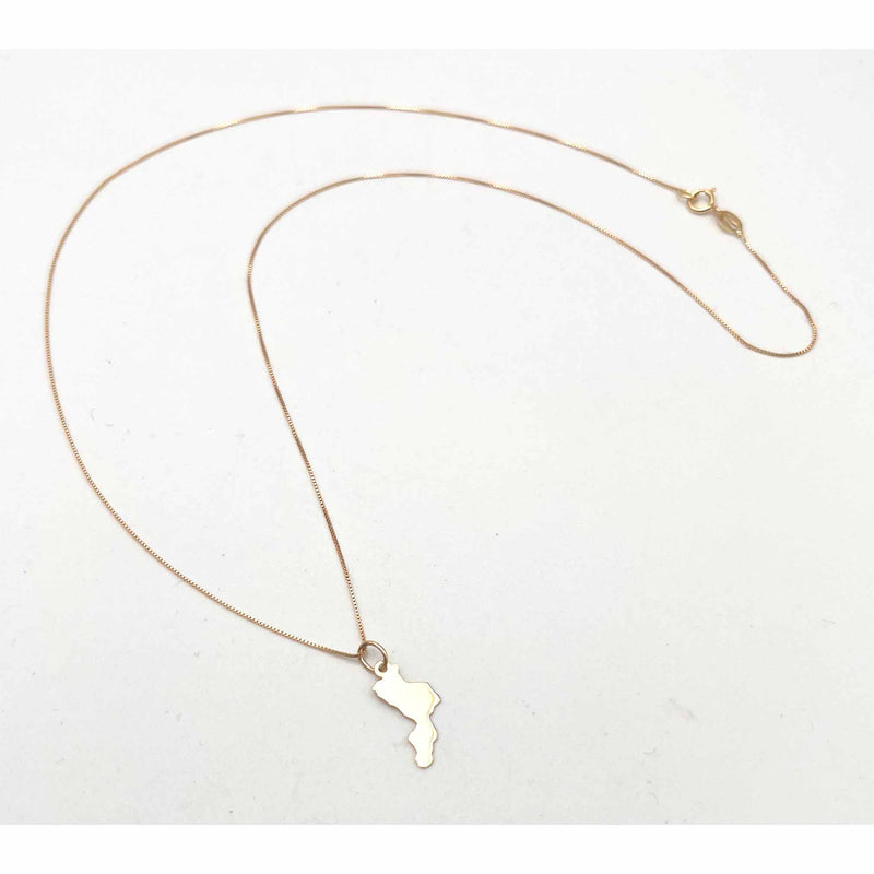 Ciondolo Regione Calabria con catena oro 18 kt.