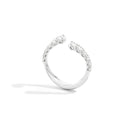 Recarlo Anniversary More R01FN004/055-16 ct.