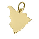 Ciondolo Regione Toscana oro 18 kt.
